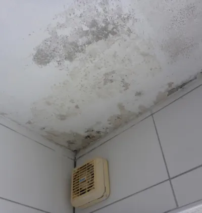 Wasserschaden Trocknung