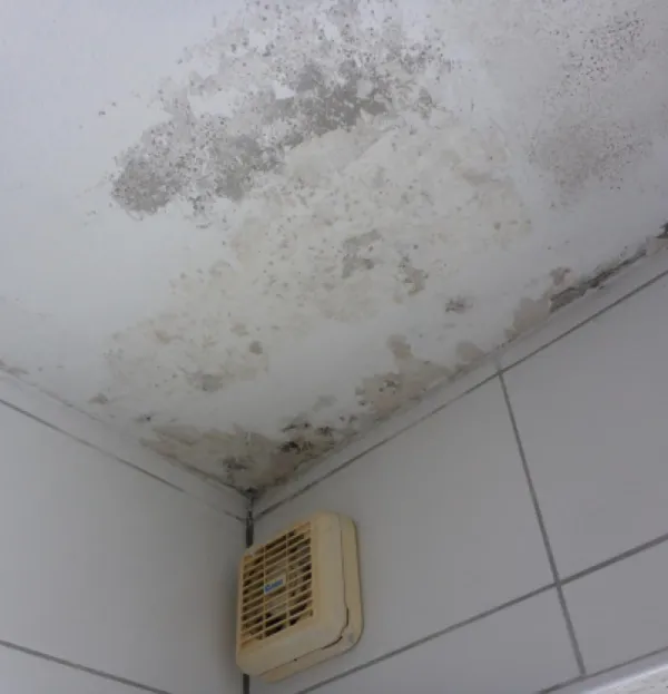Wasserschaden Ursachen und Folgen